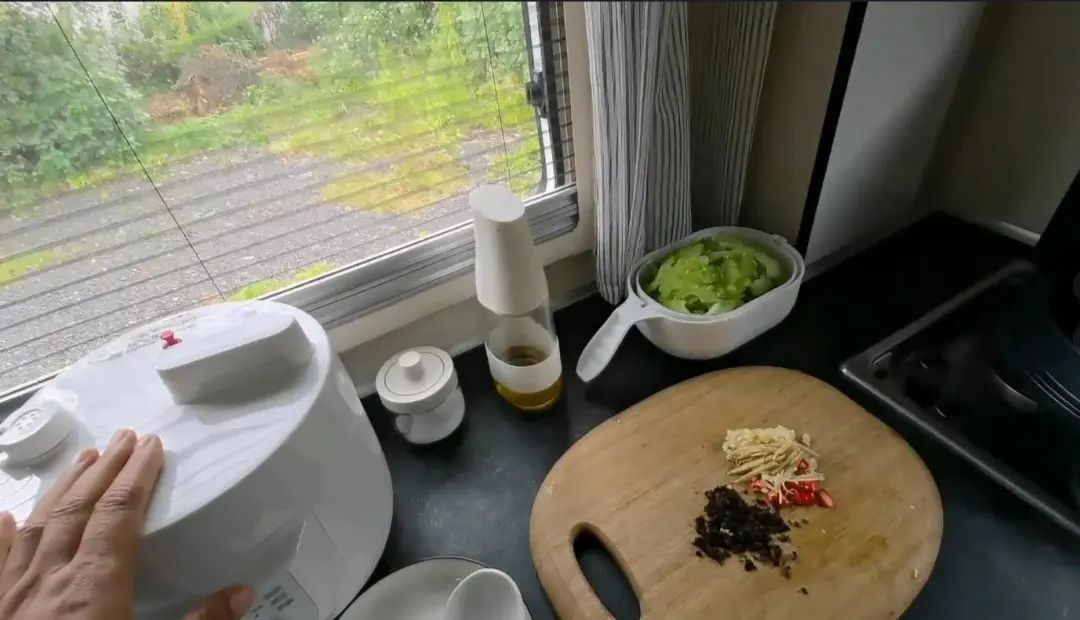 58歲的她，自駕房車旅居，一人兩犬，活成了自己喜歡的樣子